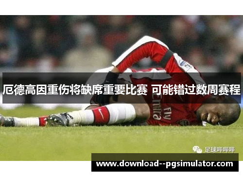 厄德高因重伤将缺席重要比赛 可能错过数周赛程 厄德高因重伤将缺席重要比赛 可能错过数周赛程