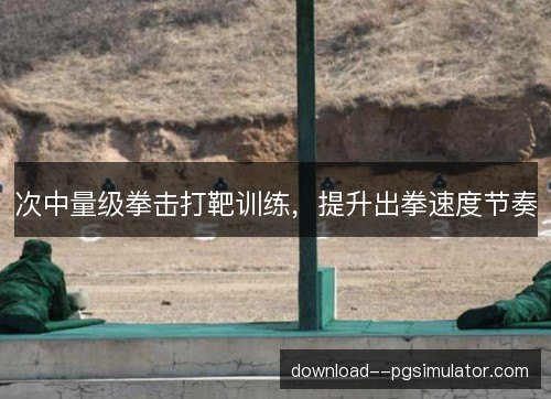 次中量级拳击打靶训练，提升出拳速度节奏