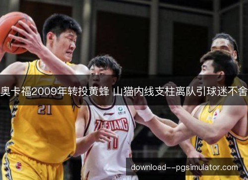 奥卡福2009年转投黄蜂 山猫内线支柱离队引球迷不舍 奥卡福2009年转投黄蜂 山猫内线支柱离队引球迷不舍